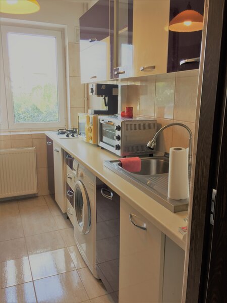 Drumul Taberei, Piata Moghioros, metrou-pet friendly (catel talie mica)